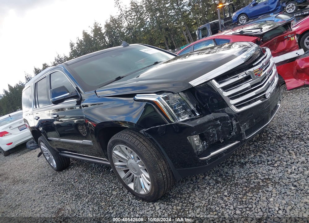 2016 CADILLAC ESCALADE PLATINUM VIN: 1GYS4DKJ2GR395731