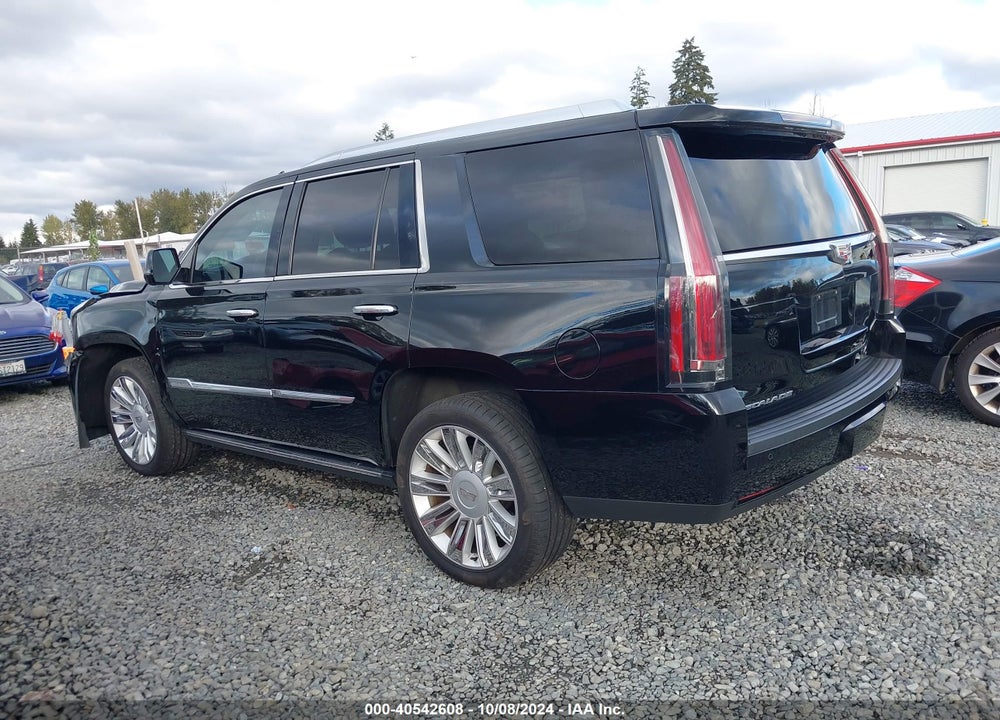 2016 CADILLAC ESCALADE PLATINUM VIN: 1GYS4DKJ2GR395731
