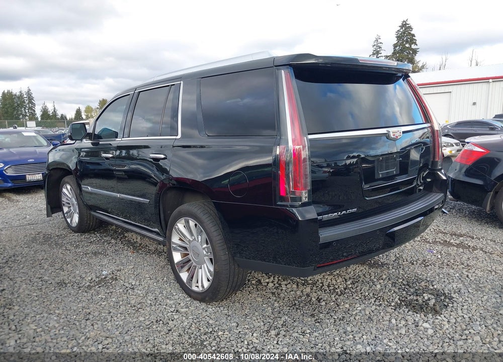 2016 CADILLAC ESCALADE PLATINUM VIN: 1GYS4DKJ2GR395731