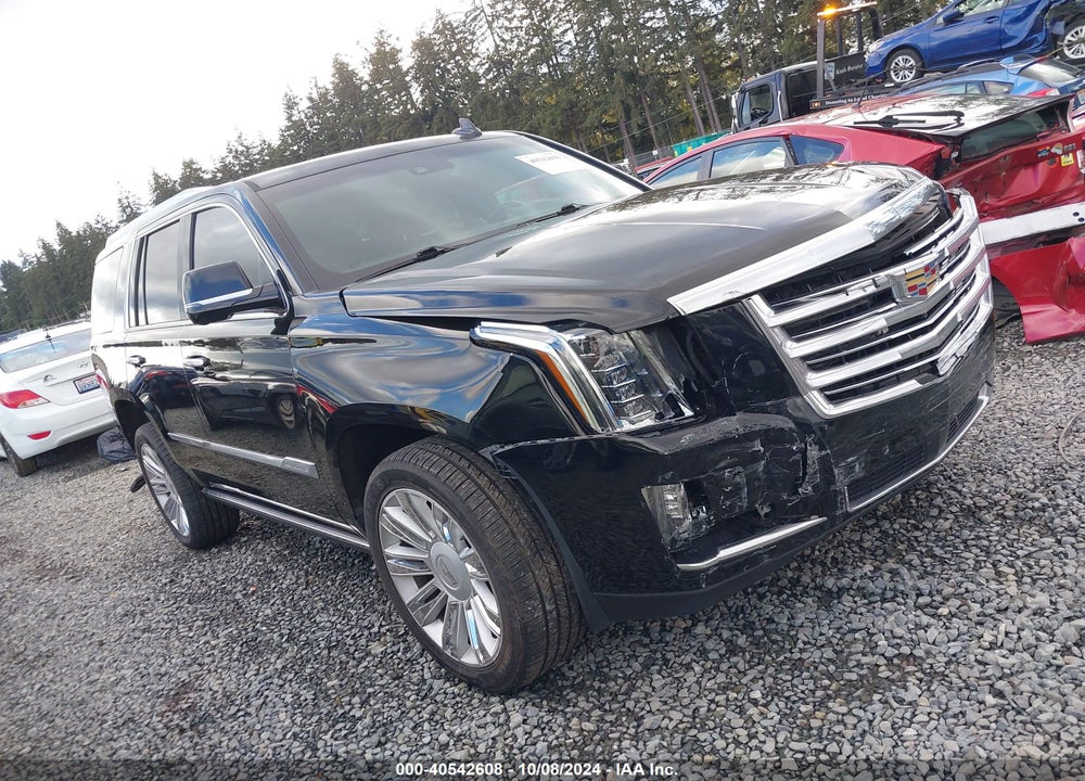 2016 CADILLAC ESCALADE PLATINUM VIN: 1GYS4DKJ2GR395731