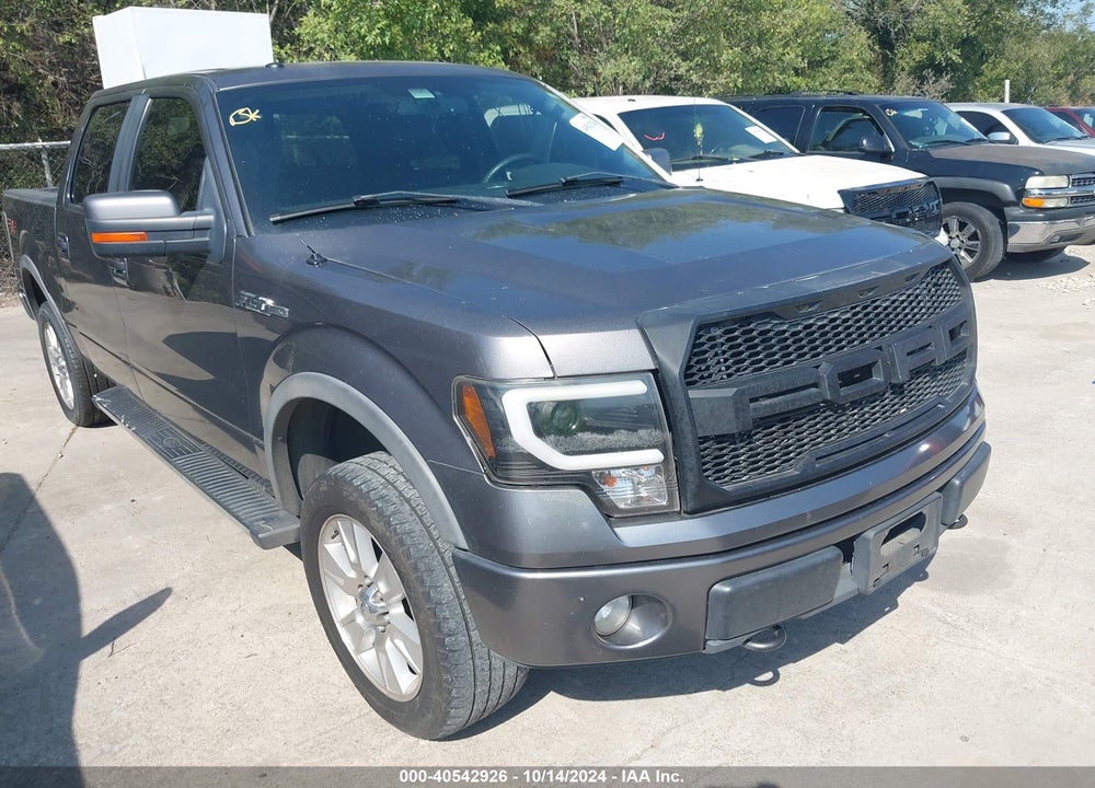 2010 FORD F-150 FX4/HARLEY-DAVIDSON/KING RANCH/LARIAT/PLATINUM/XL/XLT VIN: 1FTFW1EV4AFB69889