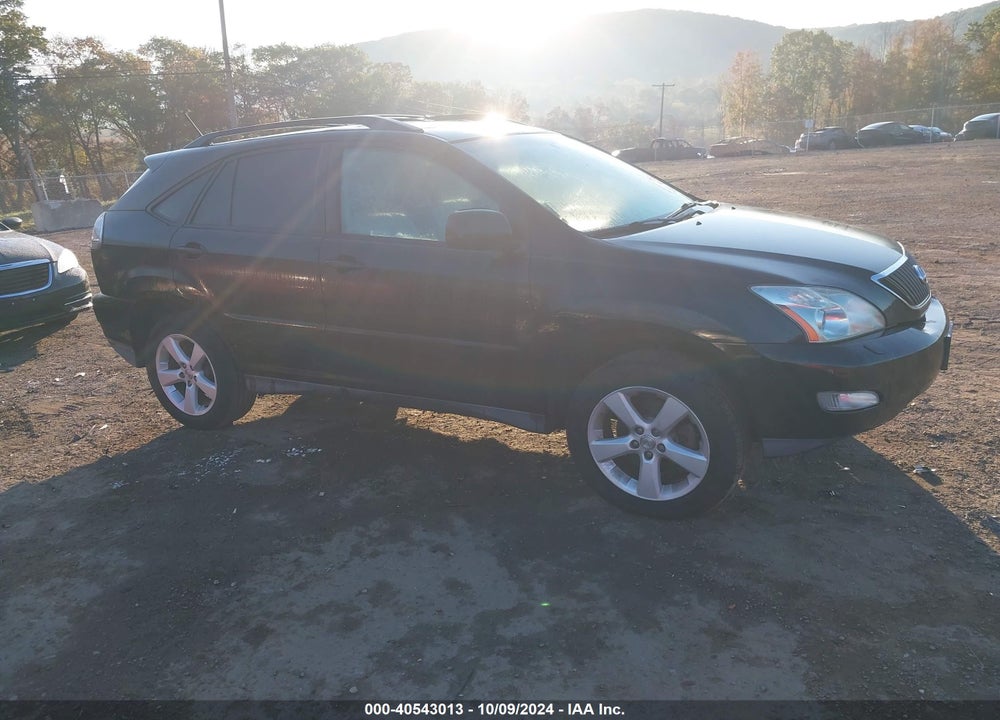 2004 LEXUS RX 330 VIN: 2T2HA31U34C035299