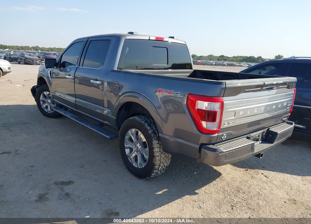 2023 FORD F-150 PLATINUM VIN: 1FTFW1E81PFC37732