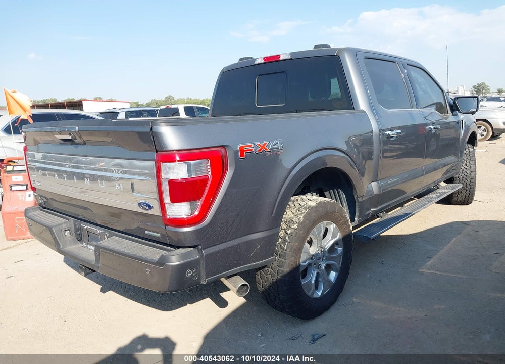2023 FORD F-150 PLATINUM VIN: 1FTFW1E81PFC37732