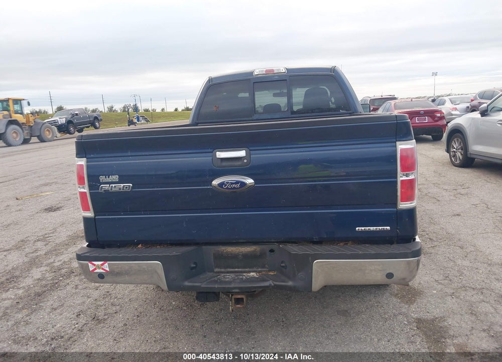 2013 FORD F-150 XLT VIN: 1FTFX1CF1DKE14183