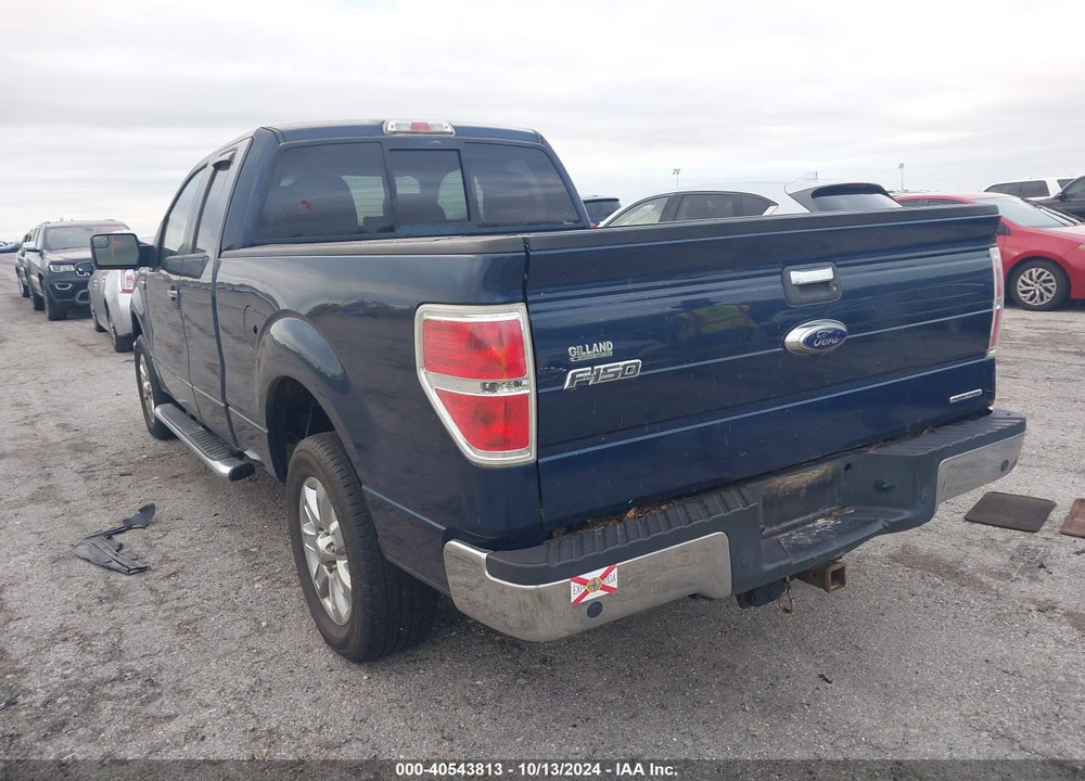 2013 FORD F-150 XLT VIN: 1FTFX1CF1DKE14183