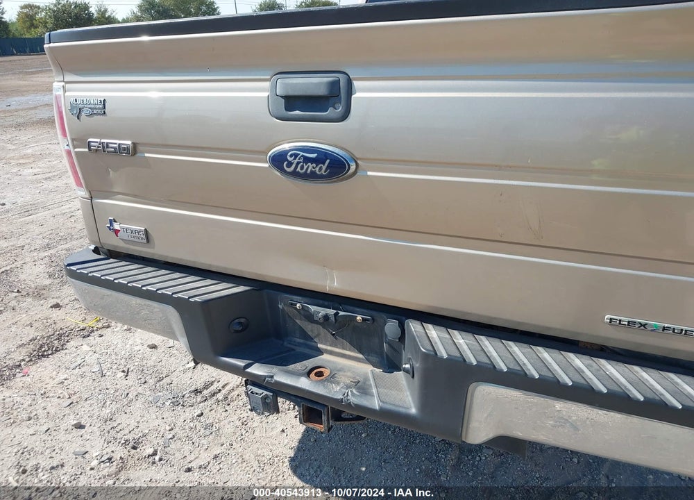 2014 FORD F-150 XLT VIN: 1FTFW1EF3EFA69751