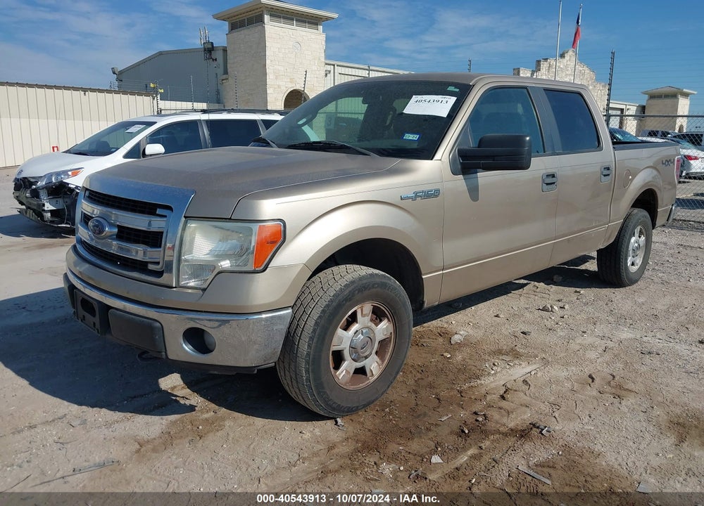 2014 FORD F-150 XLT VIN: 1FTFW1EF3EFA69751