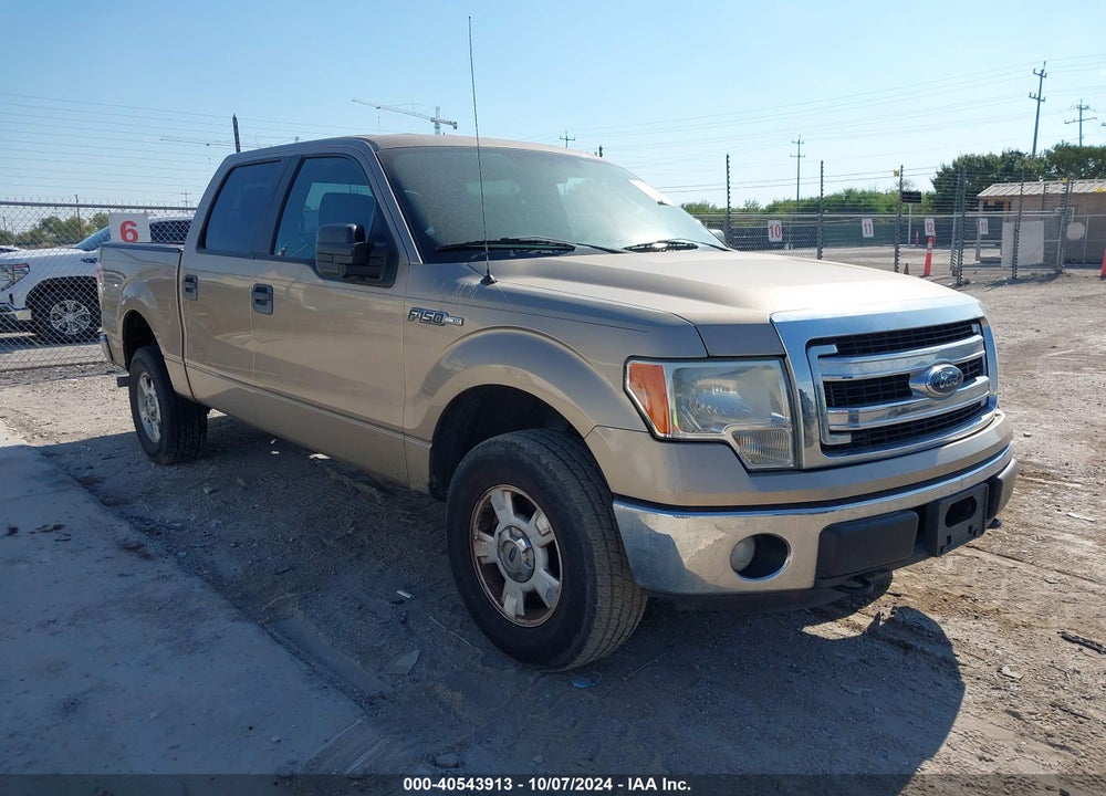 2014 FORD F-150 XLT VIN: 1FTFW1EF3EFA69751