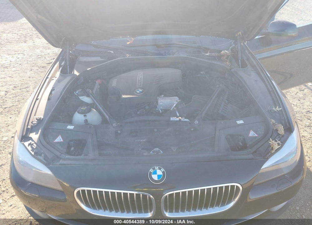 2013 BMW 528I XDRIVE VIN: WBAXH5C52DD111883