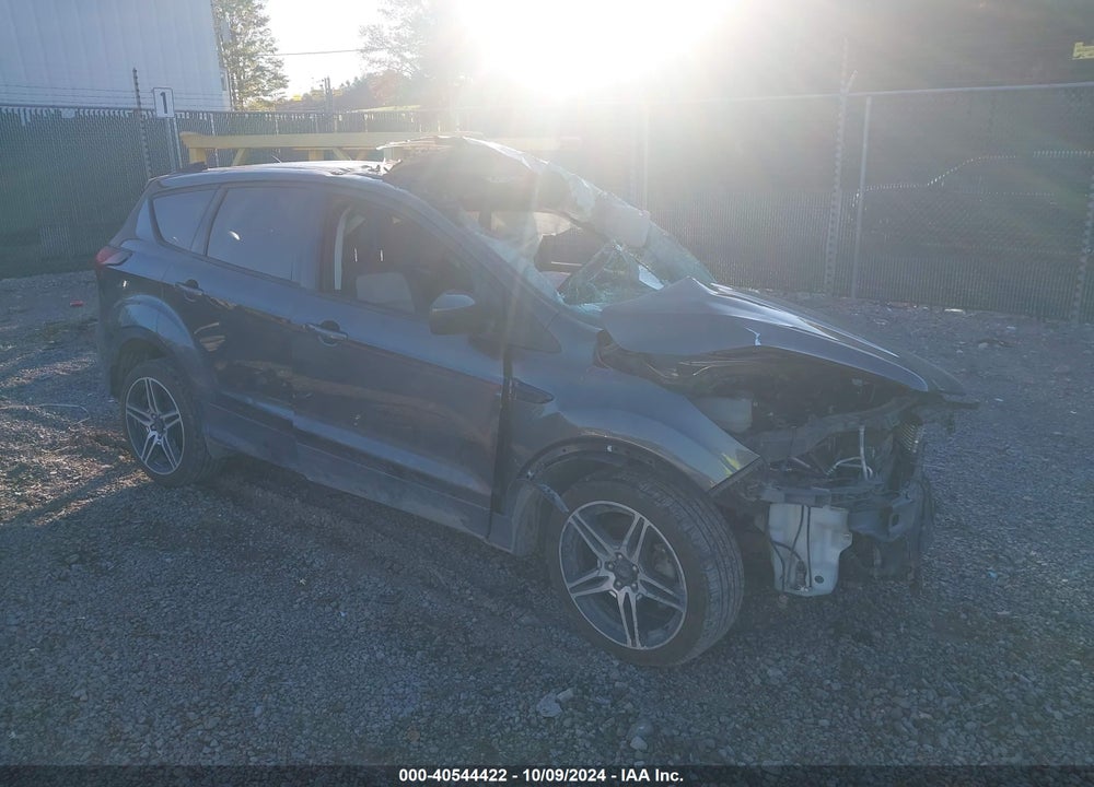 2019 FORD ESCAPE SEL VIN: 1FMCU9HD8KUB23923