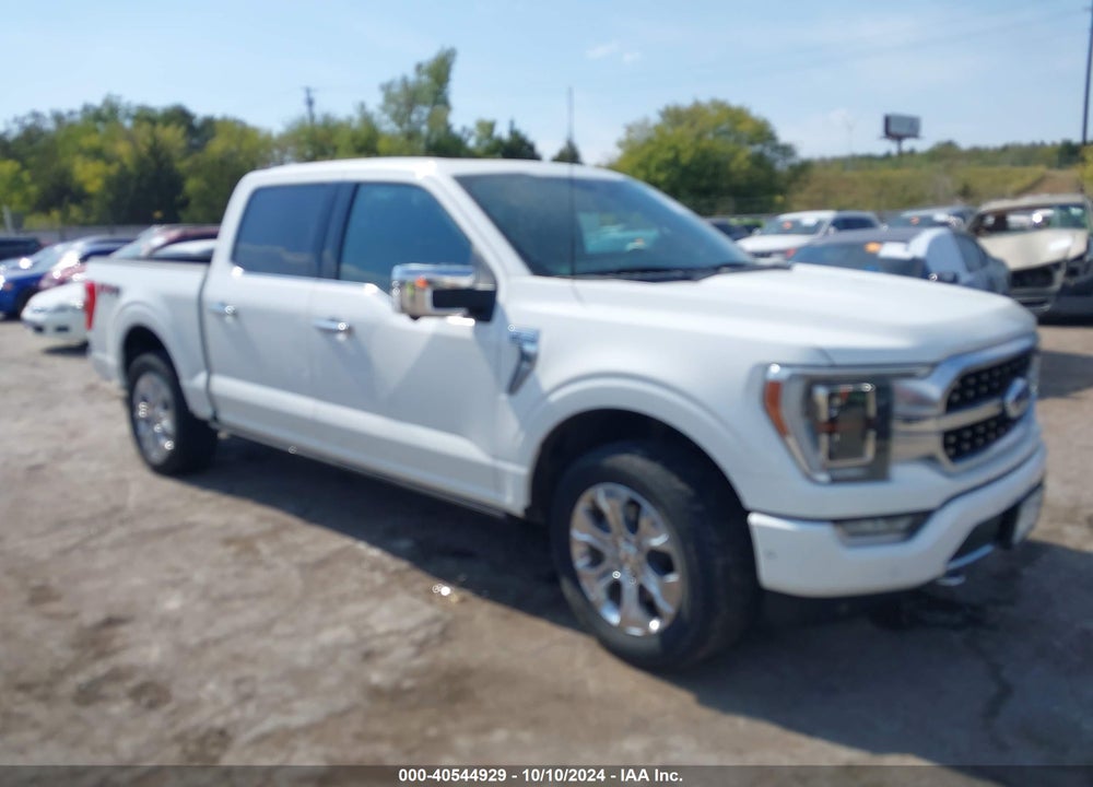 2022 FORD F-150 PLATINUM VIN: 1FTFW1E5XNFB61009