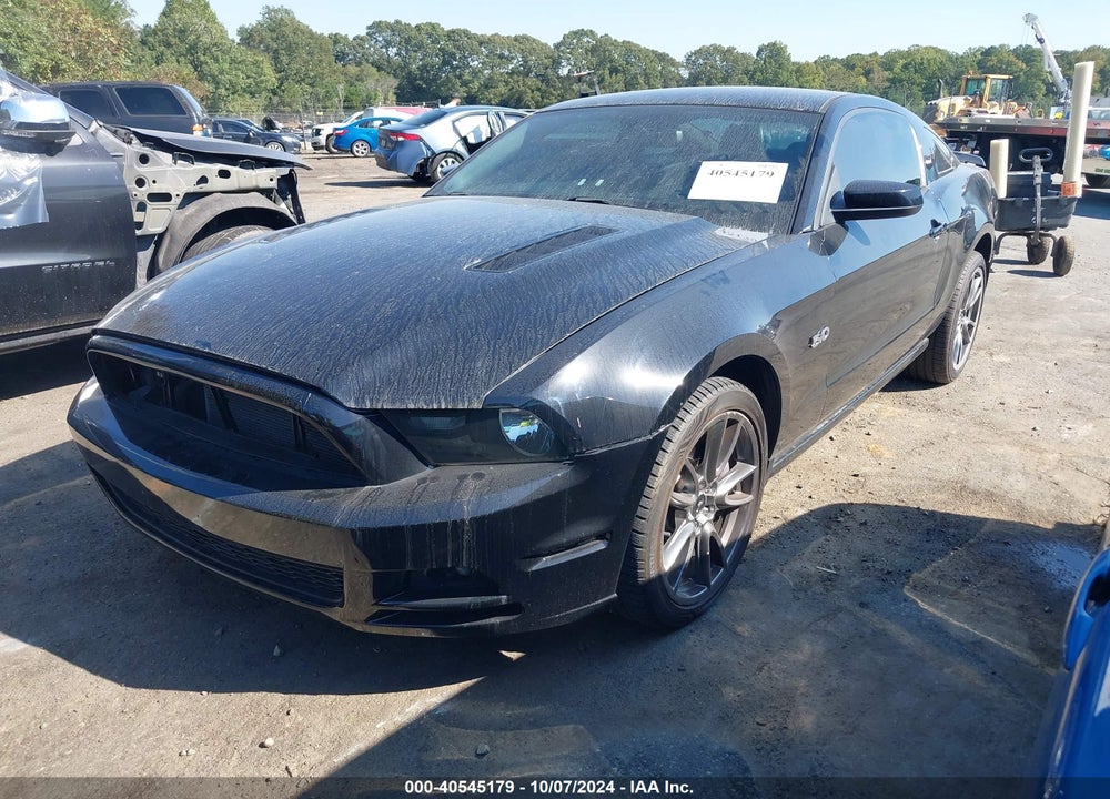 2014 FORD MUSTANG GT PREMIUM VIN: 1ZVBP8CFXE5325538