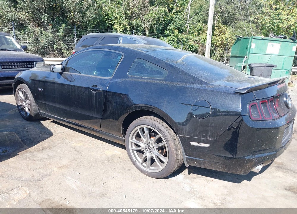 2014 FORD MUSTANG GT PREMIUM VIN: 1ZVBP8CFXE5325538