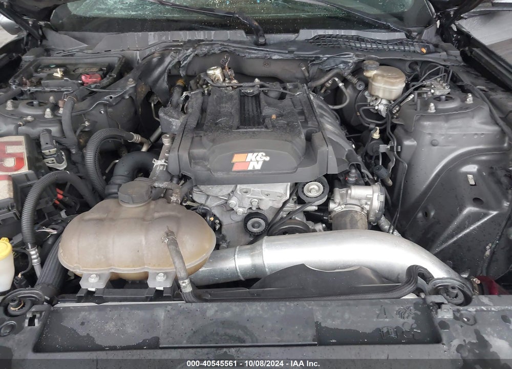 2019 FORD MUSTANG ECOBOOST PREMIUM VIN: 1FA6P8THXK5191573