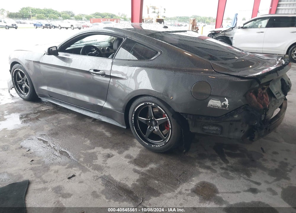 2019 FORD MUSTANG ECOBOOST PREMIUM VIN: 1FA6P8THXK5191573