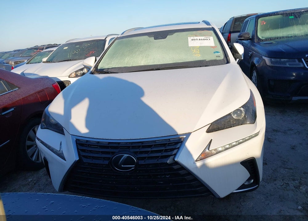 2019 LEXUS NX 300 VIN: JTJYARBZ7K2142155