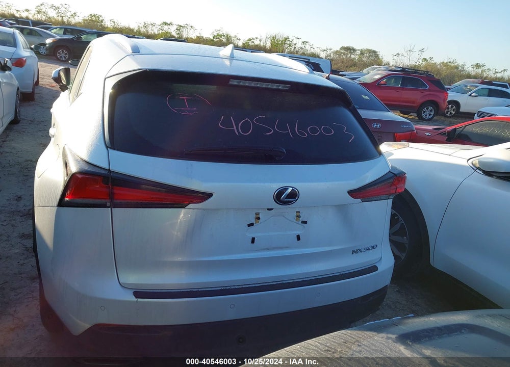 2019 LEXUS NX 300 VIN: JTJYARBZ7K2142155