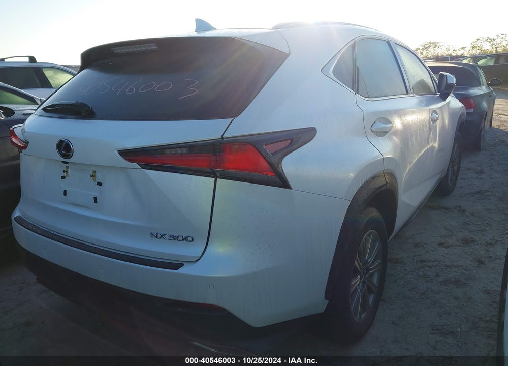 2019 LEXUS NX 300 VIN: JTJYARBZ7K2142155