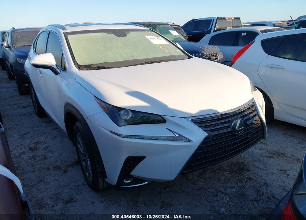 2019 LEXUS NX 300 VIN: JTJYARBZ7K2142155