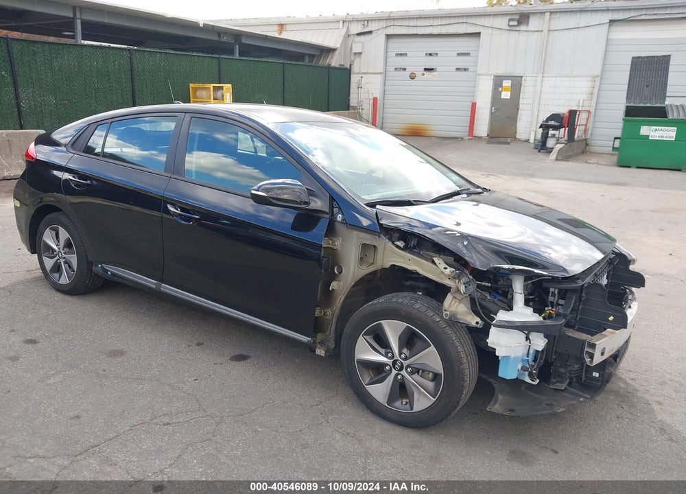 2019 HYUNDAI IONIQ ELECTRIC VIN: KMHC75LH7KU046553