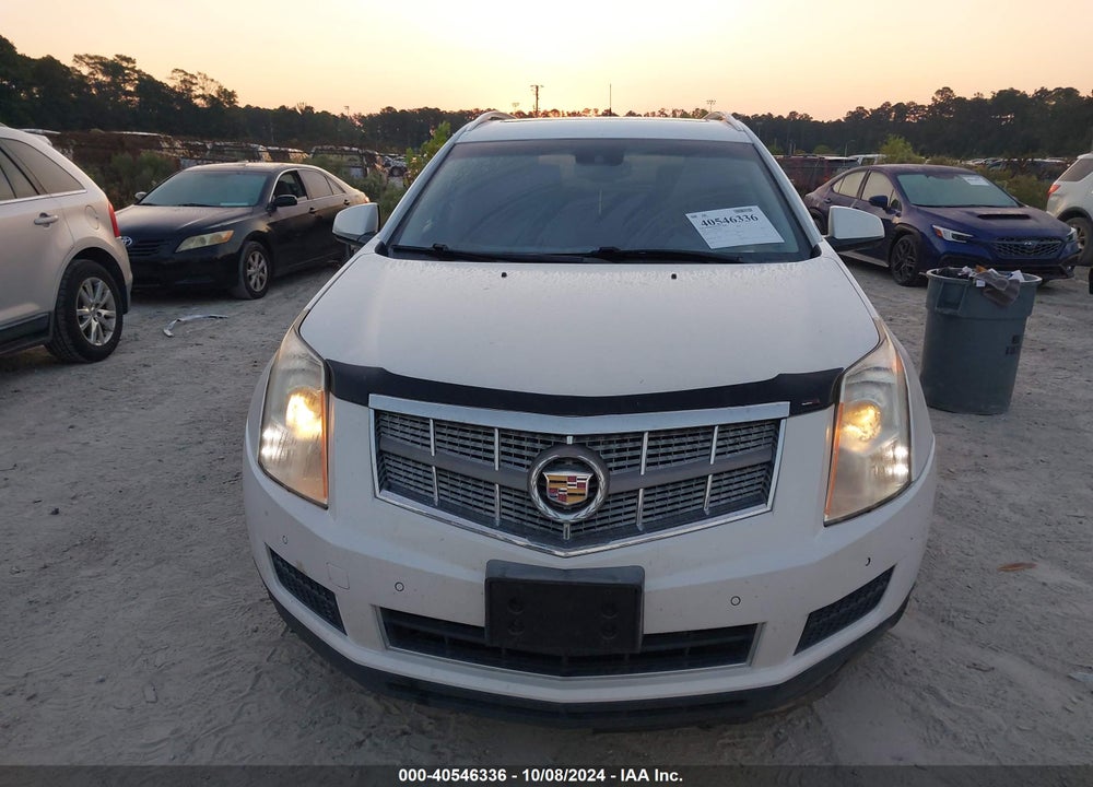 2010 CADILLAC SRX LUXURY COLLECTION VIN: 3GYFNAEY3AS592370