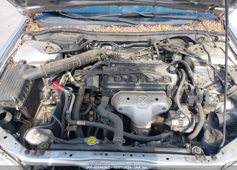 1998 HONDA ACCORD LX VIN: 1HGCG5647WA194319