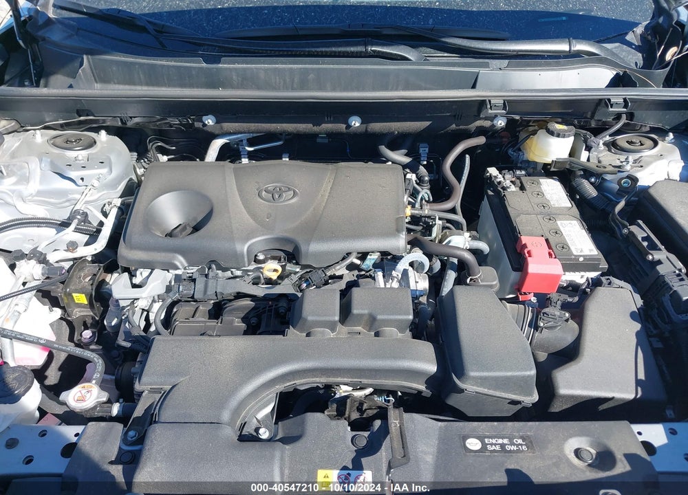 2024 TOYOTA RAV4 XLE VIN: 2T3W1RFV4RW303838