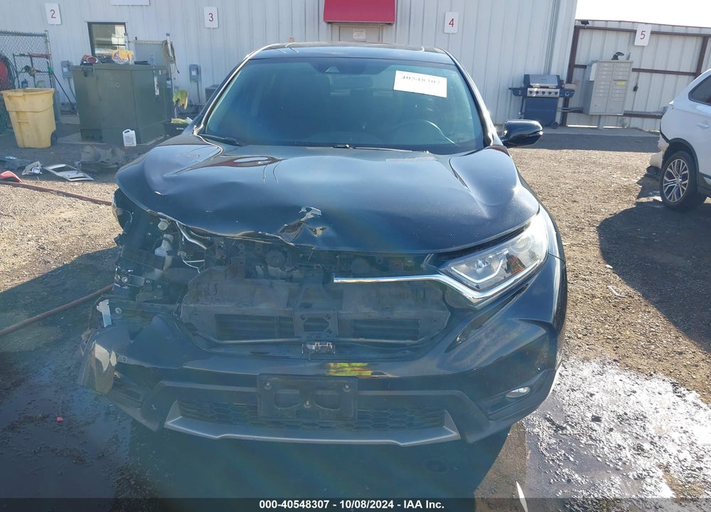 2019 HONDA CR-V EX VIN: JHLRW2H55KX022493
