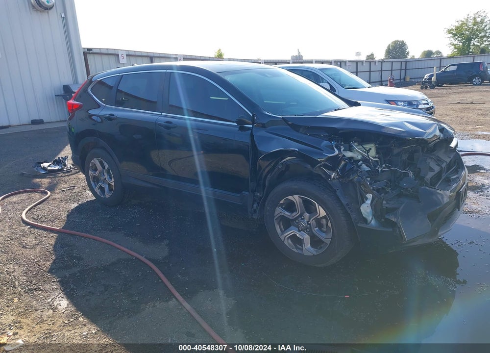 2019 HONDA CR-V EX VIN: JHLRW2H55KX022493