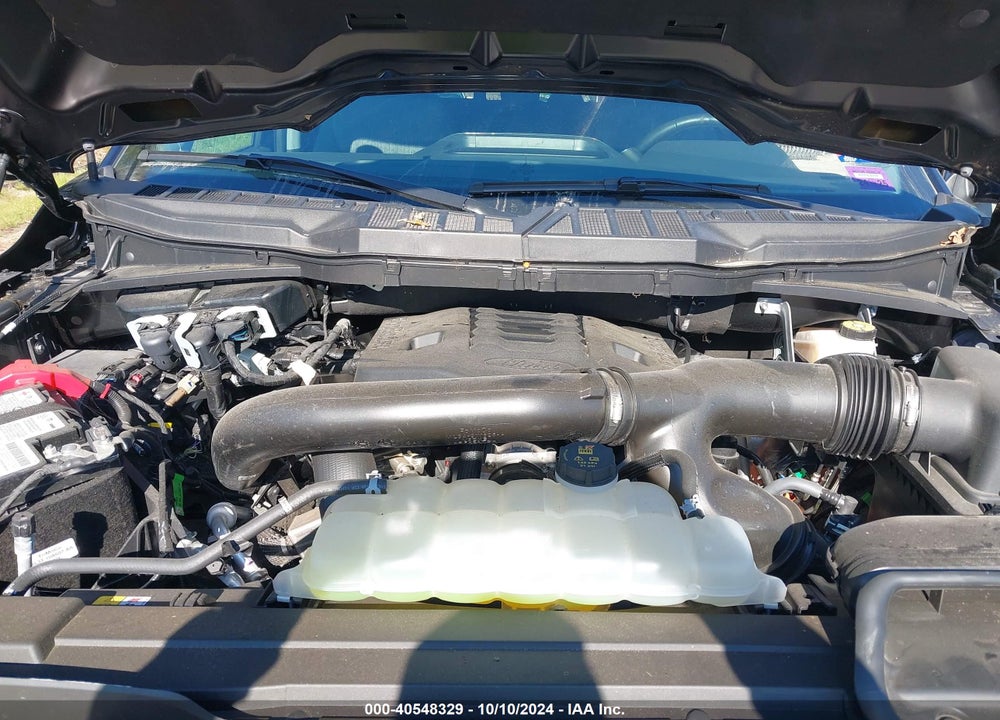 2023 FORD F-150 XLT VIN: 1FTFW1E81PFB71067