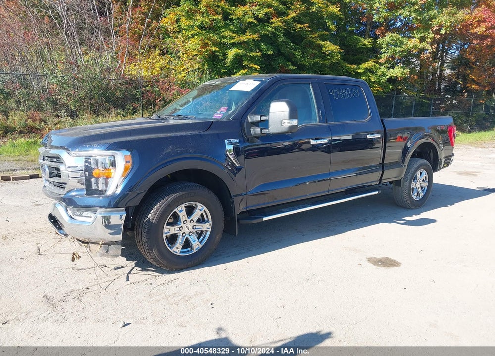 2023 FORD F-150 XLT VIN: 1FTFW1E81PFB71067