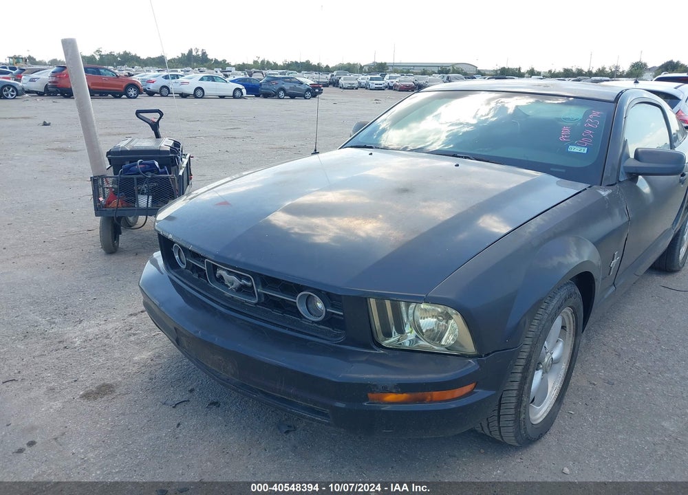 2007 FORD MUSTANG V6 DELUXE/V6 PREMIUM VIN: 1ZVFT80NX75247807