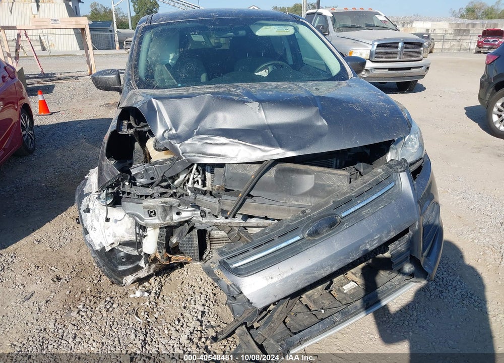 2014 FORD ESCAPE SE VIN: 1FMCU9G94EUB81187