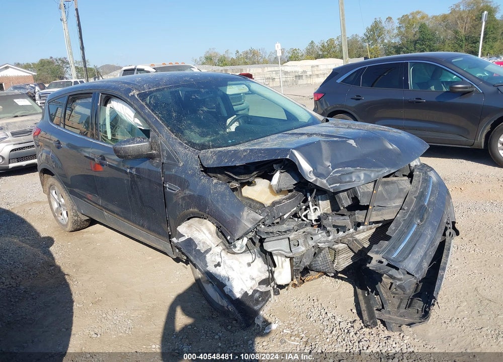 2014 FORD ESCAPE SE VIN: 1FMCU9G94EUB81187