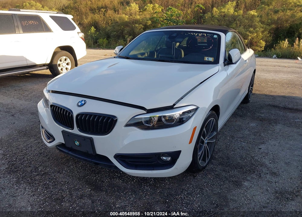 2020 BMW 230I VIN: WBA2K1C07L7E59610
