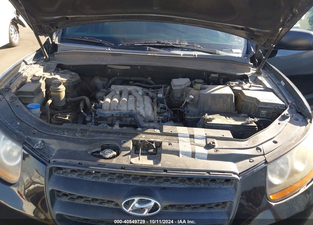 2009 HYUNDAI SANTA FE GLS VIN: 5NMSG13DX9H289670