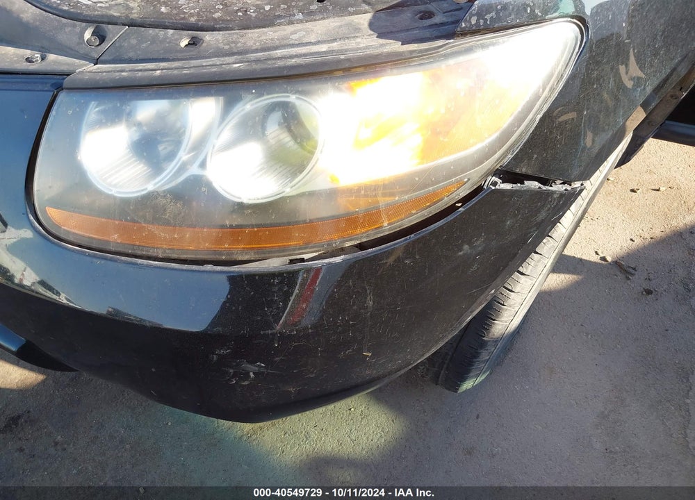 2009 HYUNDAI SANTA FE GLS VIN: 5NMSG13DX9H289670