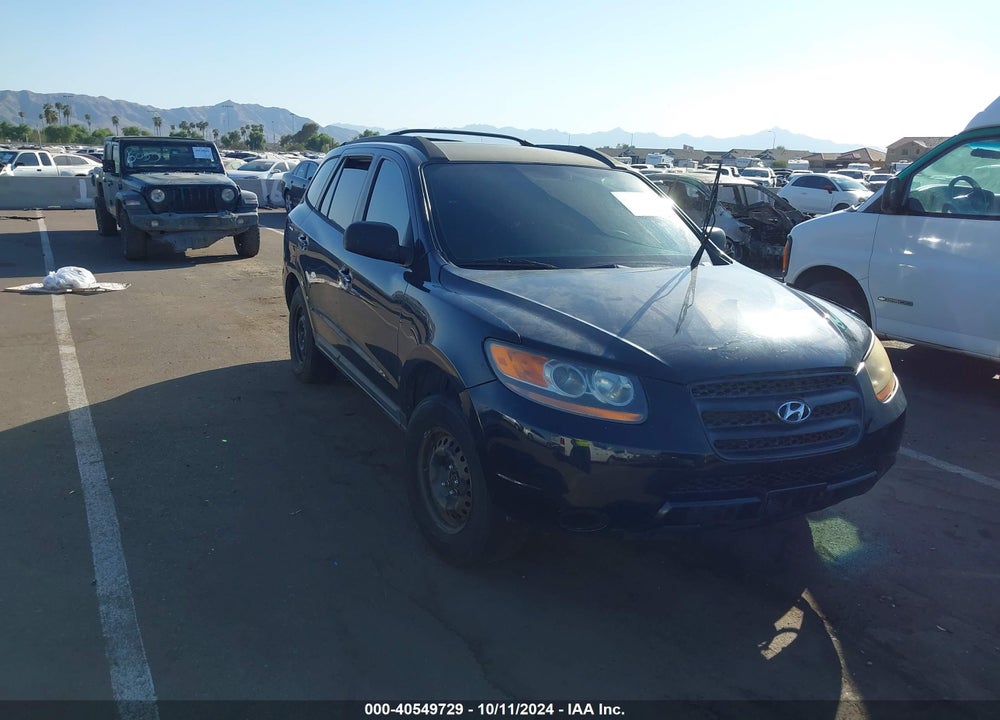2009 HYUNDAI SANTA FE GLS VIN: 5NMSG13DX9H289670