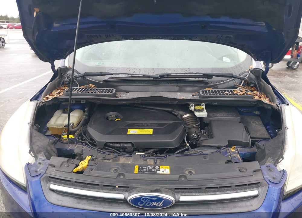2014 FORD ESCAPE SE VIN: 1FMCU0GX1EUA02761