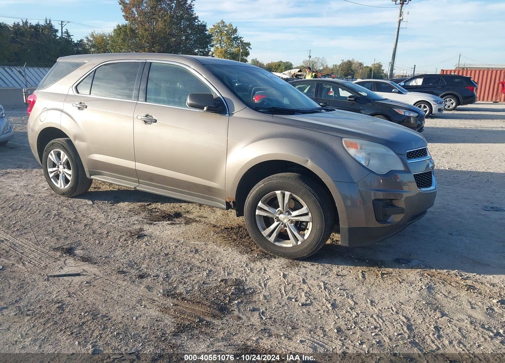 2010 CHEVROLET EQUINOX LS VIN: 2CNFLCEW0A6319211