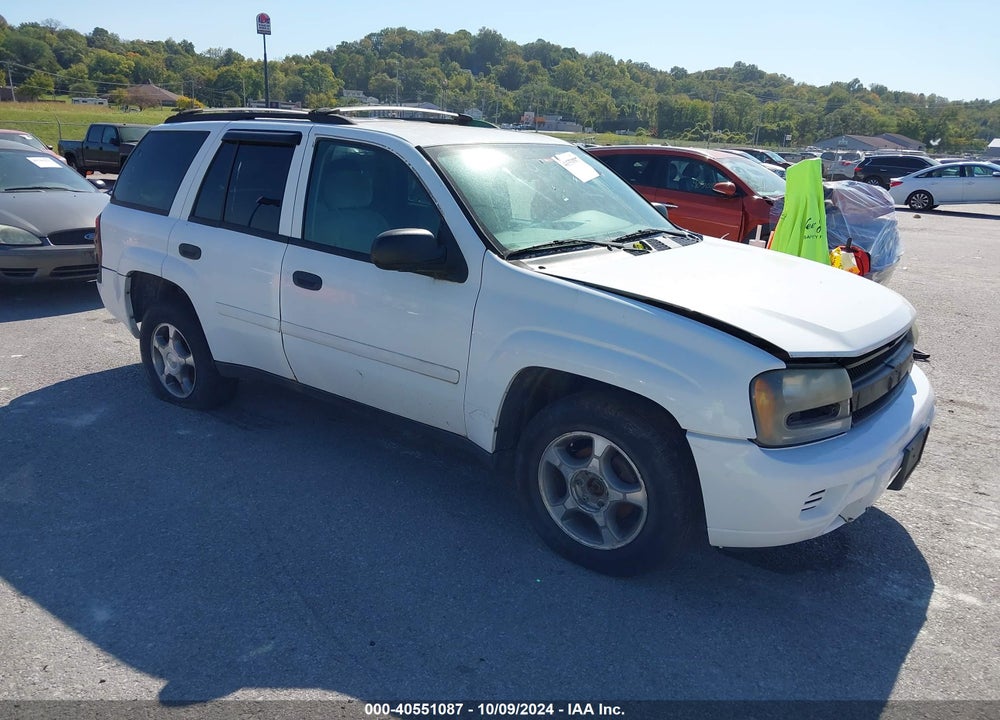 2008 CHEVROLET TRAILBLAZER FLEET VIN: 1GNDT13S682164632