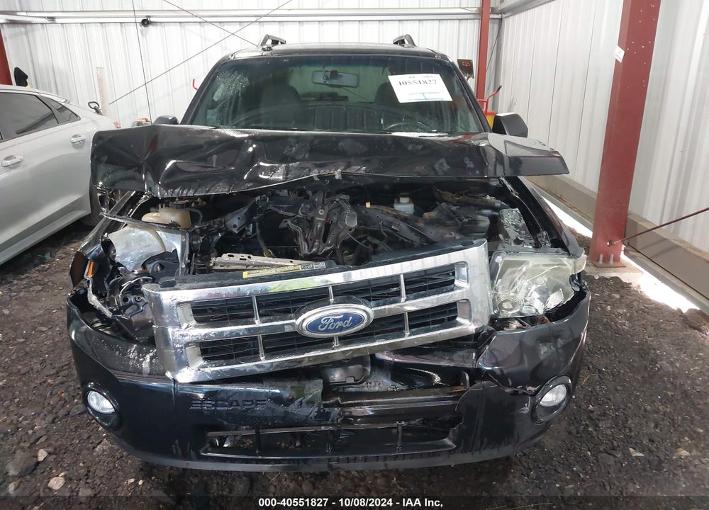 2010 FORD ESCAPE XLT VIN: 1FMCU0D70AKD42879