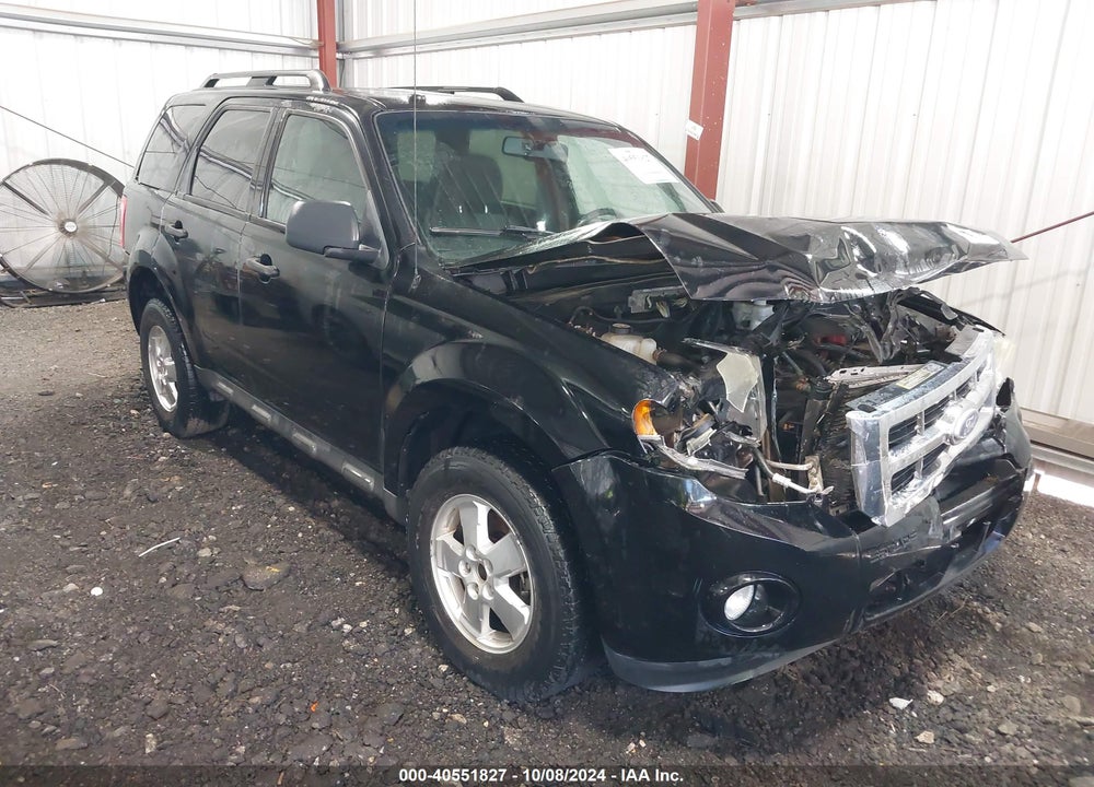 2010 FORD ESCAPE XLT VIN: 1FMCU0D70AKD42879