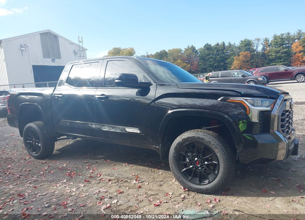 2024 TOYOTA TUNDRA PLATINUM VIN: 5TFWA5DB1RX165348