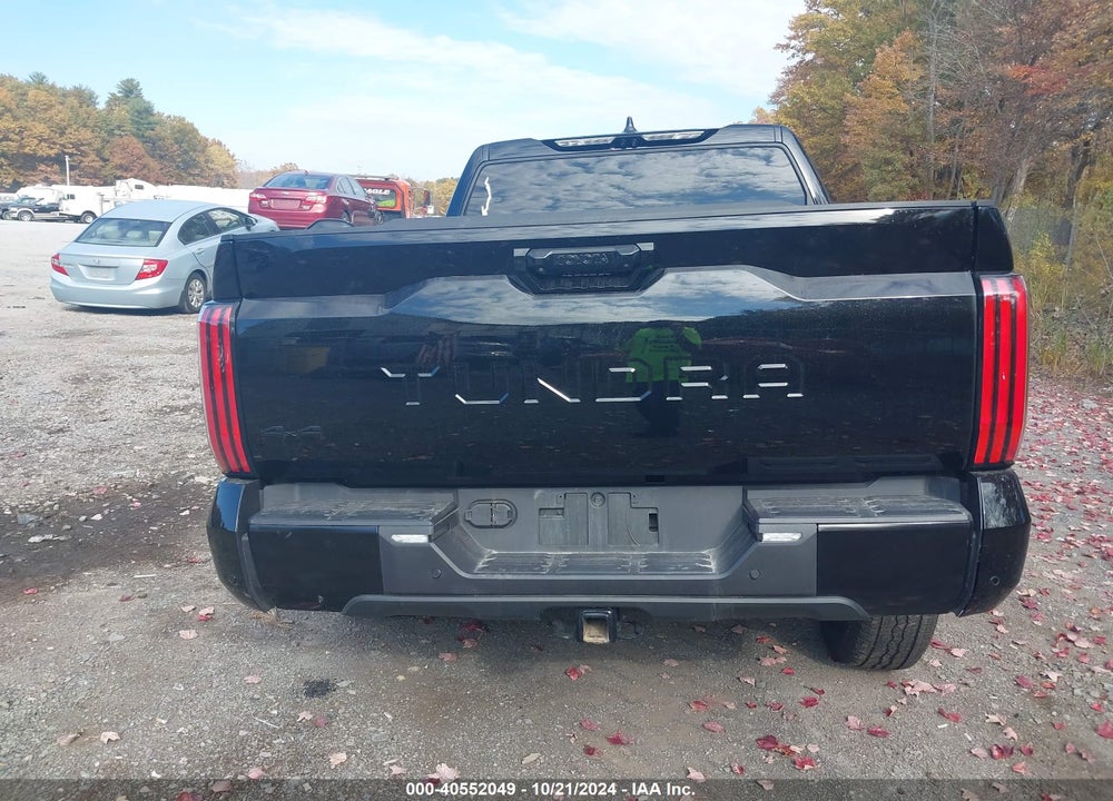 2024 TOYOTA TUNDRA PLATINUM VIN: 5TFWA5DB1RX165348