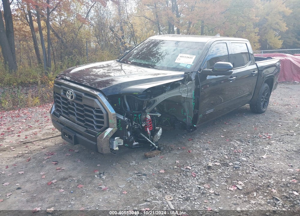 2024 TOYOTA TUNDRA PLATINUM VIN: 5TFWA5DB1RX165348