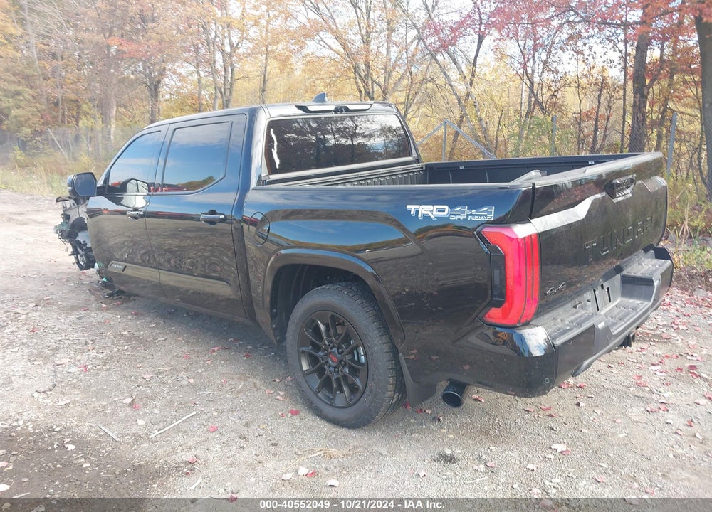 2024 TOYOTA TUNDRA PLATINUM VIN: 5TFWA5DB1RX165348