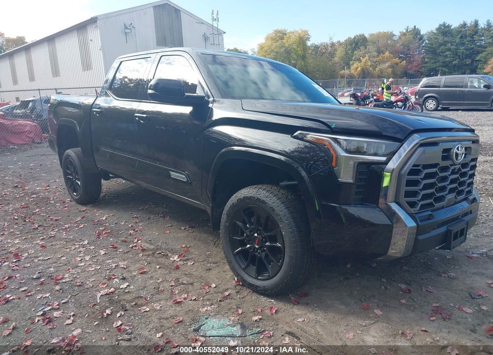 2024 TOYOTA TUNDRA PLATINUM VIN: 5TFWA5DB1RX165348