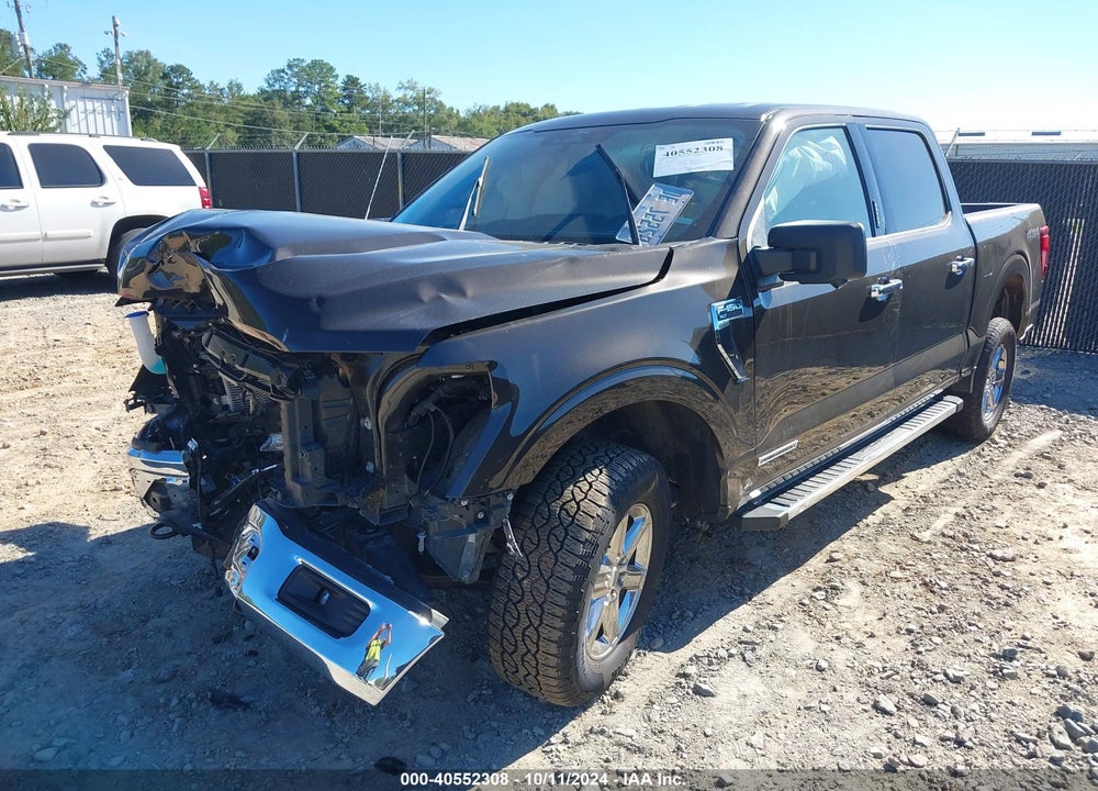 2024 FORD F-150 XLT VIN: 1FTFW3LD1RFA48352